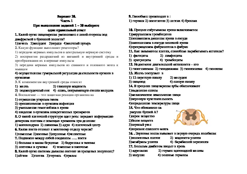 Диагностическая работа по биологии за курс 8 класса в форме и по материалам ОГЭ. Вариант 20.