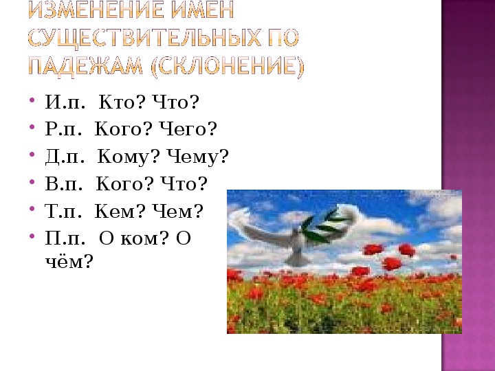 Презентация к уроку русского языка, 3 класс по теме: "Падежи имен существительных.