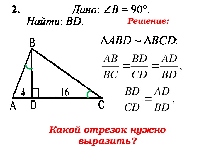 Пропорциональные отрезки 8 класс