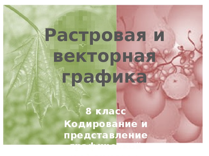 Презентация по информатике на тему "Растровая и векторная графика. 8 класс"