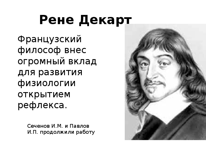 Рене декарт открытия. Рене Декарт вклад. Вклад в науку Рене ДКАРТ. Рене Декарт биология.