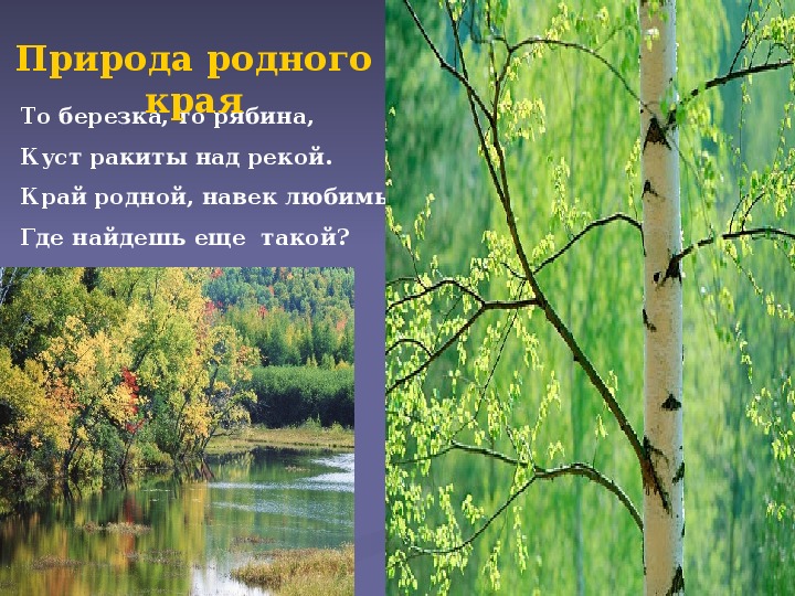 Природа родного края презентация