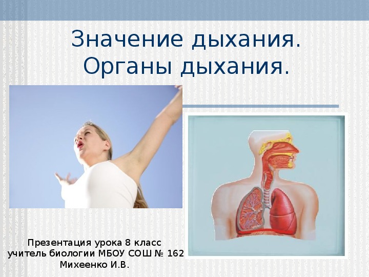 Презентация по географии "Органы дыхания" (8 класс)