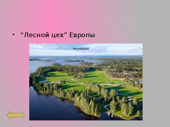 Лесная промышленность зарубежной европы страны