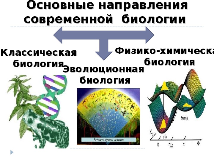 История развития биологии проект 10 класс