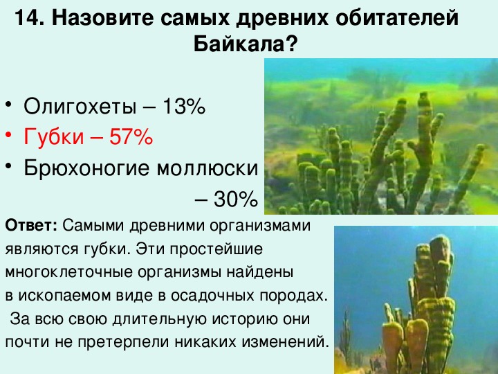 На рисунке показано цветение воды в озере байкал установите последовательность процессов