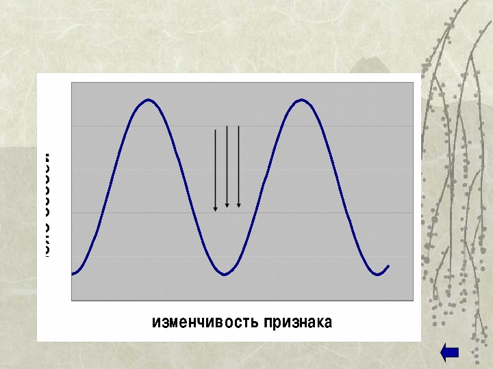 Естественный отбор презентация 11 класс по биологии