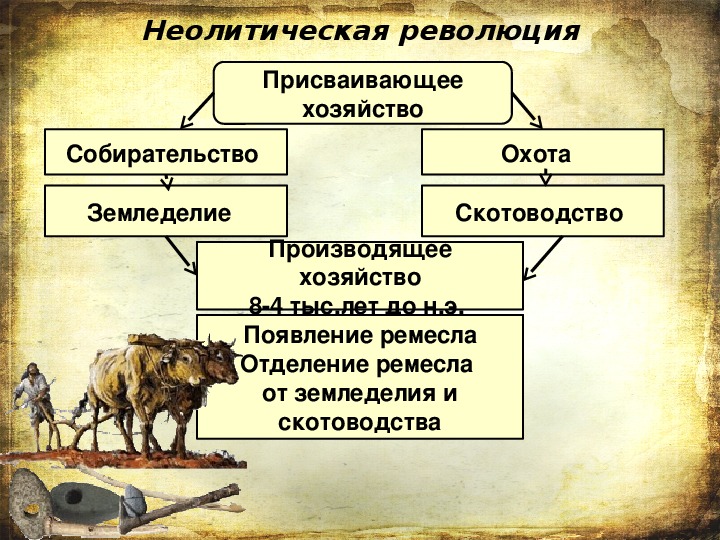 Выпущена какой вид. Производящее хозяйство схема. Этап возникновения земледелия и скотоводства. Неолитическая революция схема.