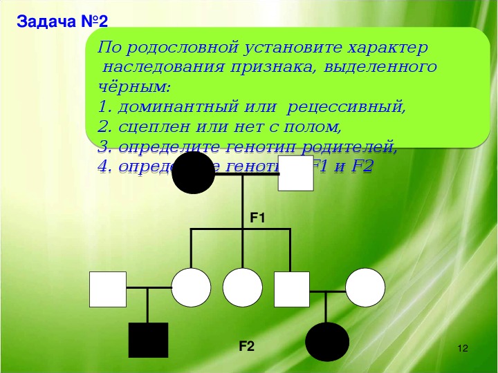 Проект изучение наследования признаков леворукости в семье