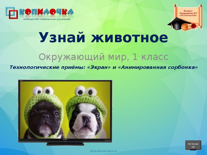 Обложка для материала Узнай животное. Загадки-обманки 2