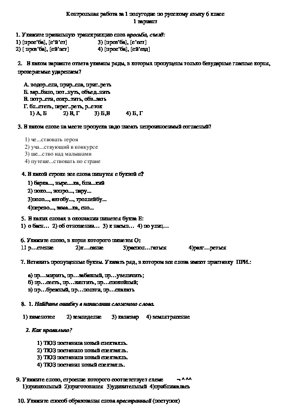 Контрольная работа по русскому языку. 6 класс