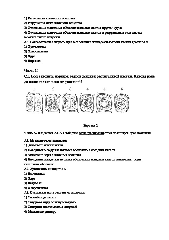 Контрольная работа по биологии 5 пасечник