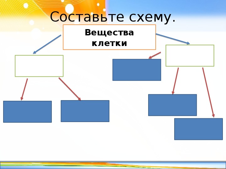 Состав клетки 5 класс