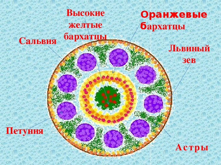 Схема круглой клумбы