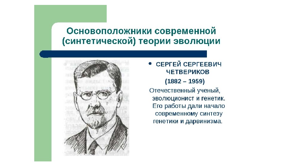 Презентация на тему синтетическая теория эволюции