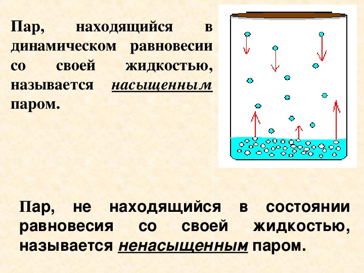 Жидкость и пар 10 класс презентация