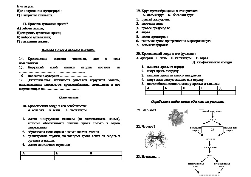 Тест по теме кровообращение