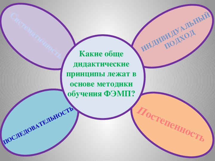 Кто впервые обосновал дидактические принципы и правила