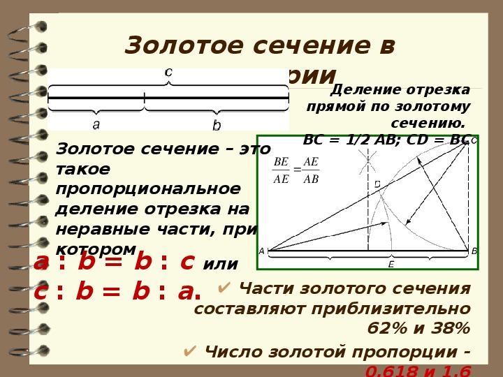 Проект по математике золотое сечение 11 класс