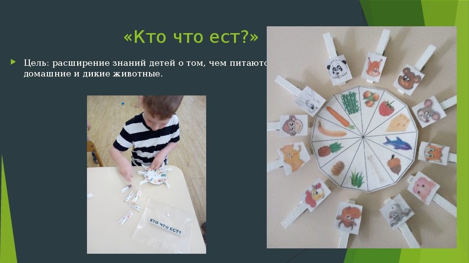 Дидактические игры экологического содержания