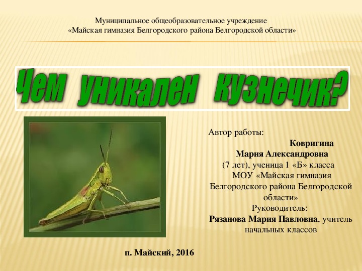 Исследовательская работа "Чем уникален кузнечик?"