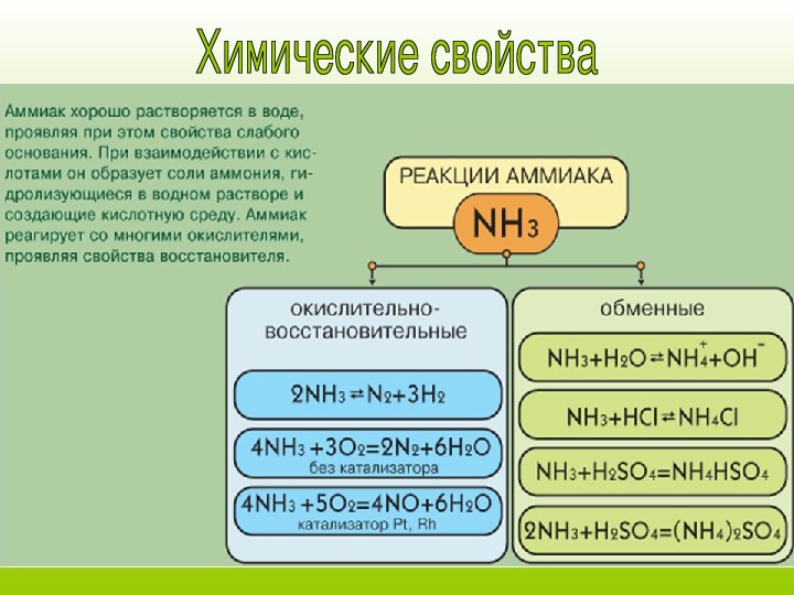 В химических реакциях азот проявляет свойства. Общая характеристика аммиака. Аммиак хорошо растворим в воде. Аммиак nh4. Химические свойства аммиака.