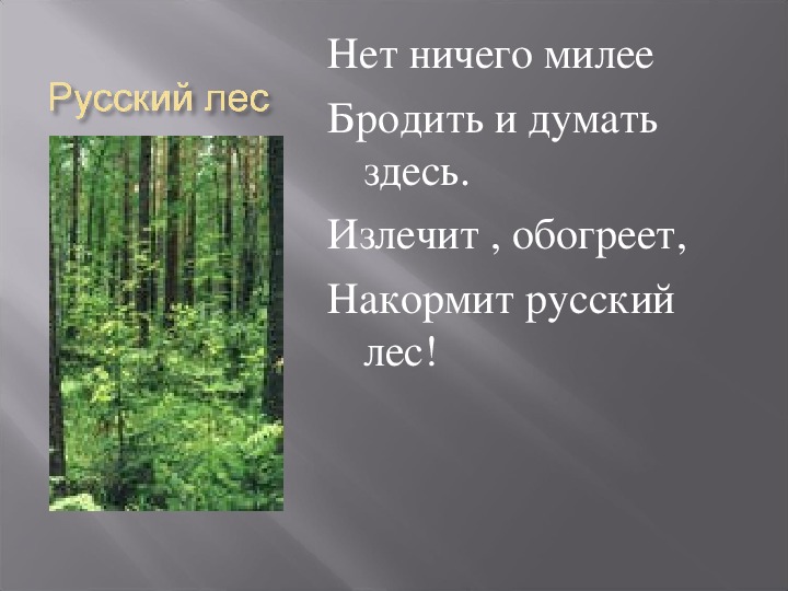 Сохранить лес достояние россии проект 9 класс