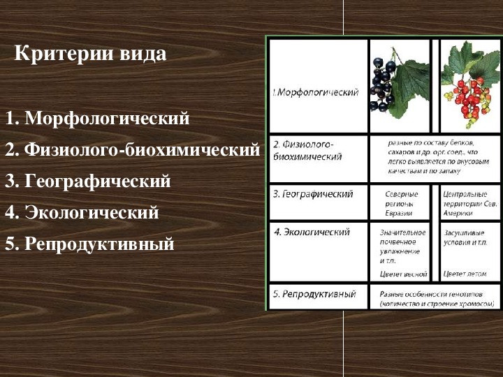 Растения разных видов сравнение