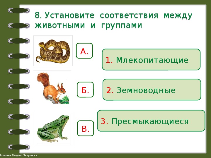 Земноводные проверочная работа 2 класс. Задание на соответствие по окружающему миру. Задание по теме класс земноводные. Млекопитающие и пресмыкающиеся и земноводные. Земноводные и пресмыкающиеся задания для дошкольников.