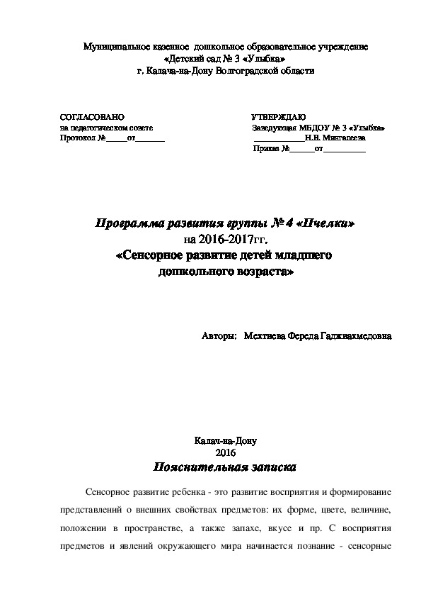 Обложка для материала Программа развития "Сенсорное развитие детей младшего дошкольного возраста.
