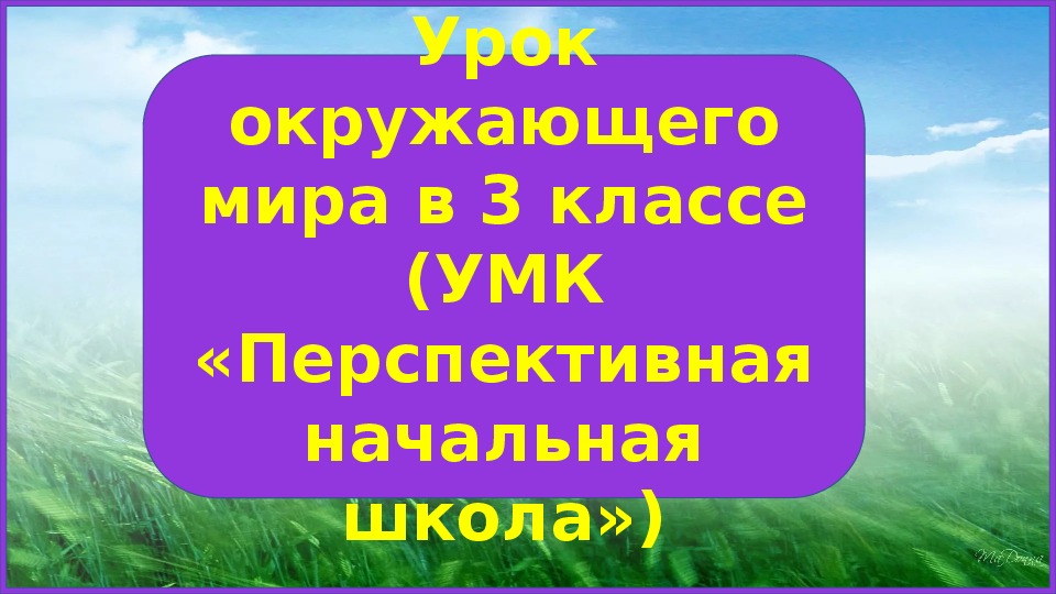 Презентация к уроку окружающего мира на тему "Ветер" (3 класс)