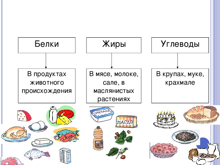 Открытый Урок По Теме Знакомство С Углеводами