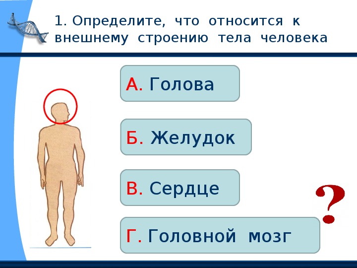 Окружающий мир тема человек