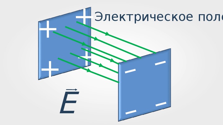 Силовые линии электрического поля. Напряженность поля заряженного шара