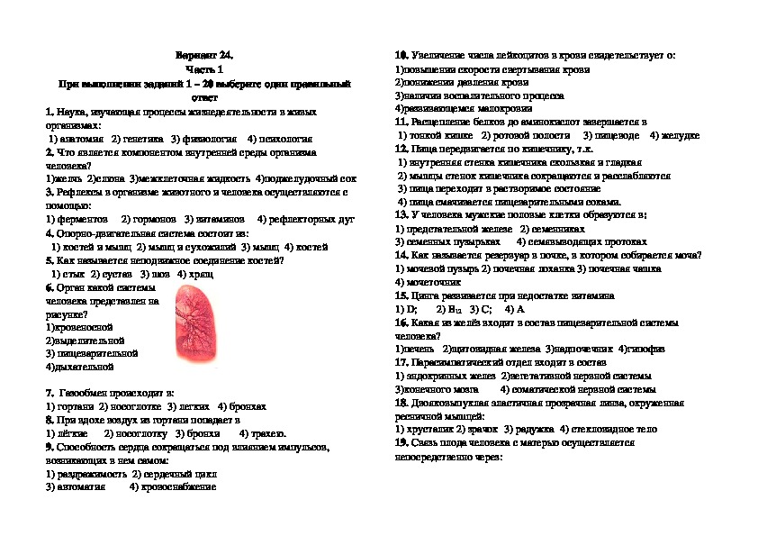 Диагностическая работа по биологии за курс 8 класса в форме и по материалам ОГЭ. Вариант 24.