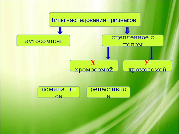 Виды наследования