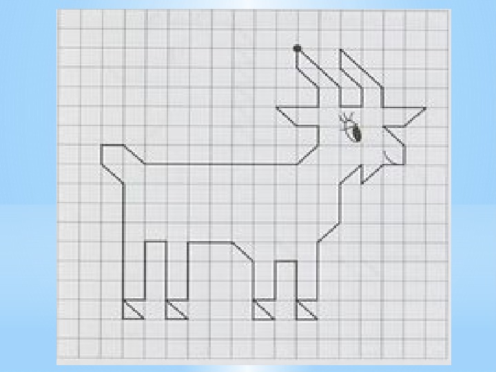 Картинки по клеточкам класс. Графические диктанты. Графический диктант козочка. Рисование по клеточкам животные для детей. Графический диктант животных.