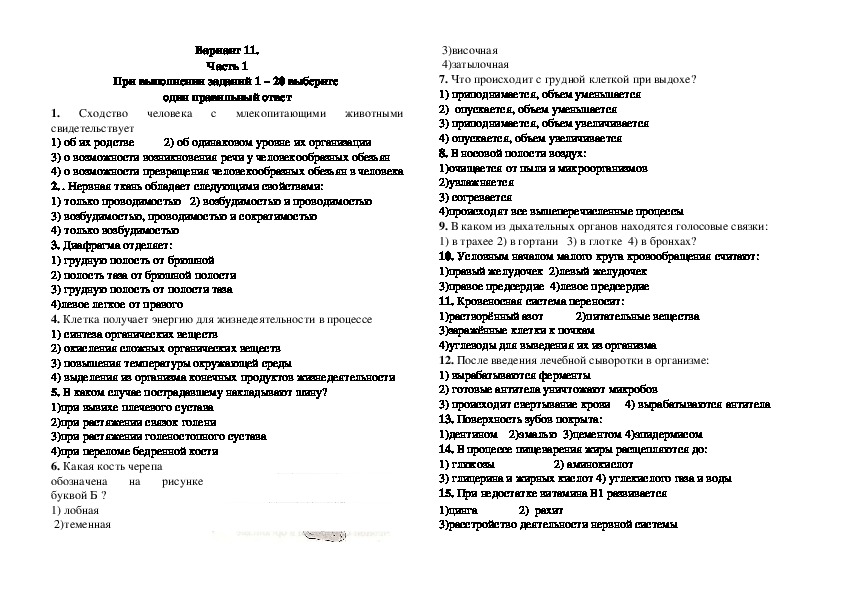 Диагностическая работа по биологии за курс 8 класса в форме и по материалам ОГЭ. Вариант 11.