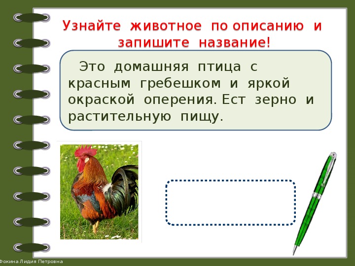 Записать жи. Угадать животное по описанию. Узнай животное по описанию. Угадай животное по описанию. Узнай по описанию для дошкольников.