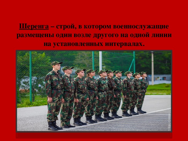 Какое расстояние должно быть между военнослужащими. Шеренга. Строй шеренга. Шеренга это в армии. Строй в армии.