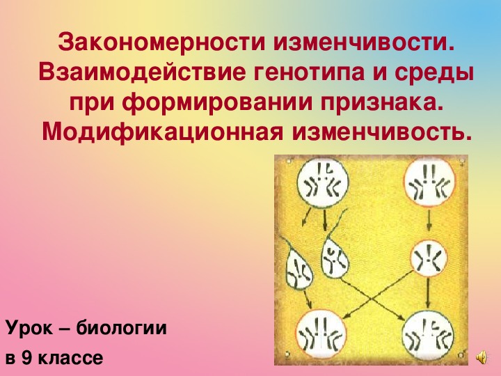 Методы исследования наследственности фенотип и генотип 9 класс презентация пасечник