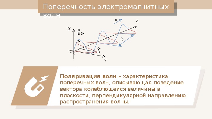 Поперечность световых волн поляризация света презентация 11 класс