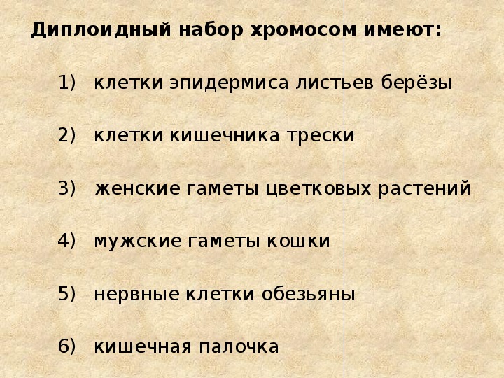 Диплоидный набор хромосом соматической. Диплоидный набор хромосом имеет..... Диплоидный набор хромосом имеют клетки эпидермиса. Диплоидный набор имеют.