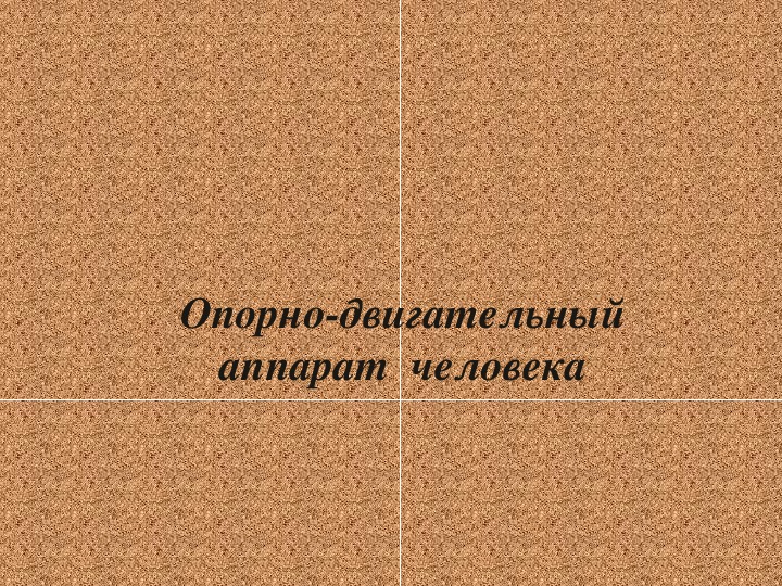 Презентация на тему "Опорно-двигательная система человека" ( 8 класс, биология).