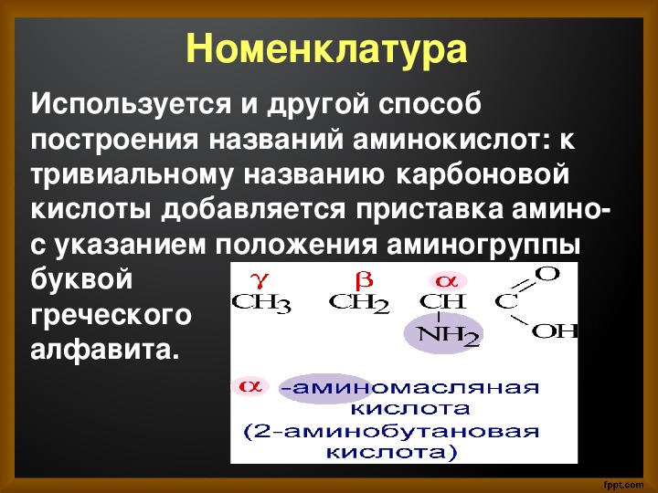 План конспект аминокислоты 10 класс