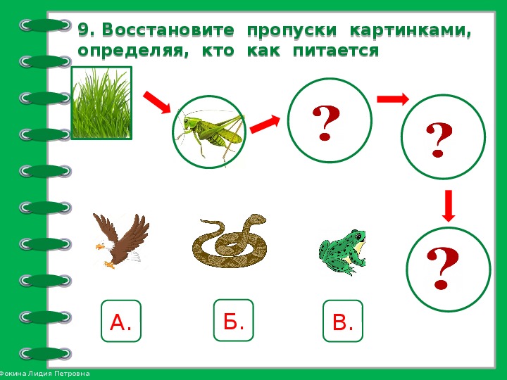 Невидимые нити окружающий мир 2 класс ответы. Тема невидимые нити окружающий мир 2 класс задания. Невидимые нити 2 класс окружающий мир примеры схем. Невидимые нити схема примеры 2 класс. Невидимые нити 2 класс окружающий мир.