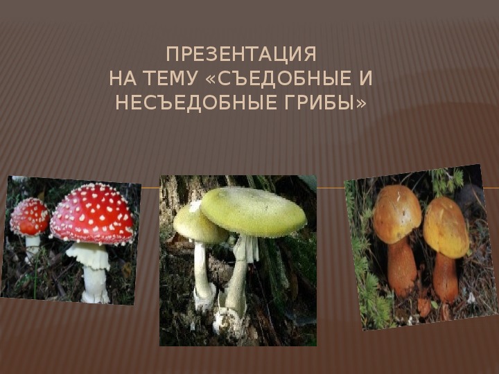 Презентация  по окружающему миру на тему "Съедобные и несъедобные грибы" (2 класс окружающий мир)