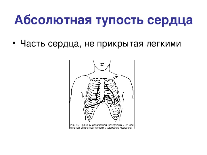 Войлочный образец тупости