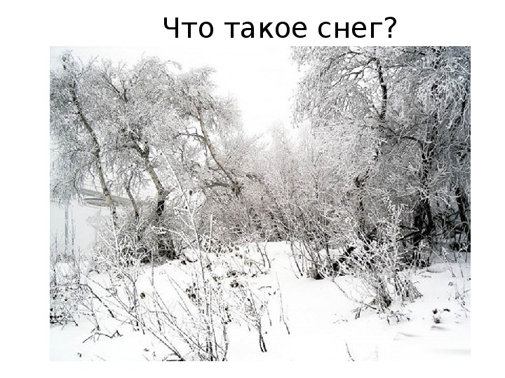 Обложка для материала презентация на тему " Снег"