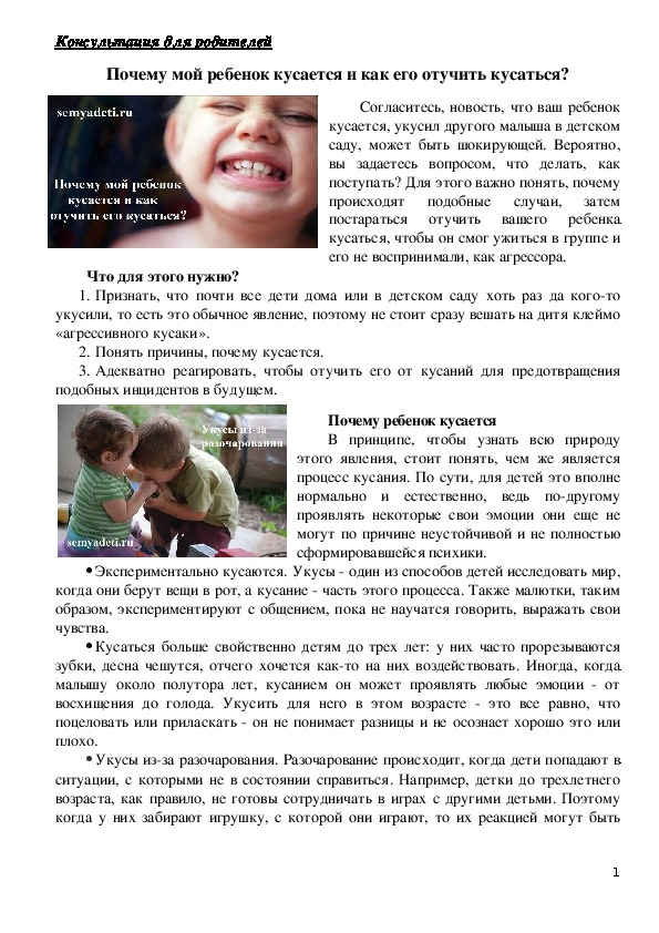 Обложка для материала Консультация для родителей - Почему мой ребенок кусается и как его отучить кусаться?